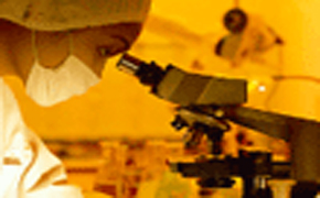 Microbiological Examination Testing